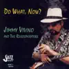 Jimmy Vivino And The Rekooperators - Do What, Now?
